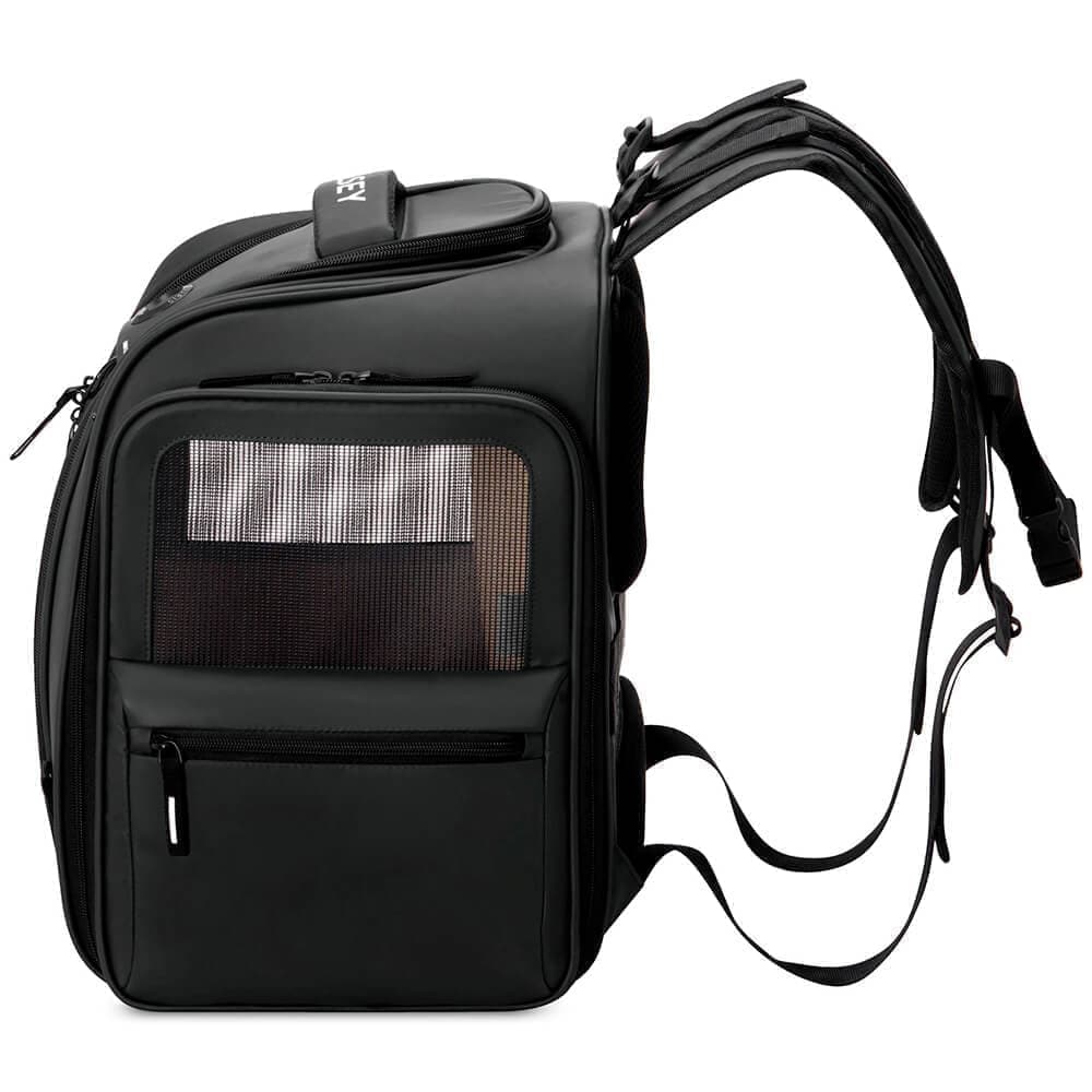 Рюкзак для переноcки животных Delsey 003289171 Raspail Pet Backpack