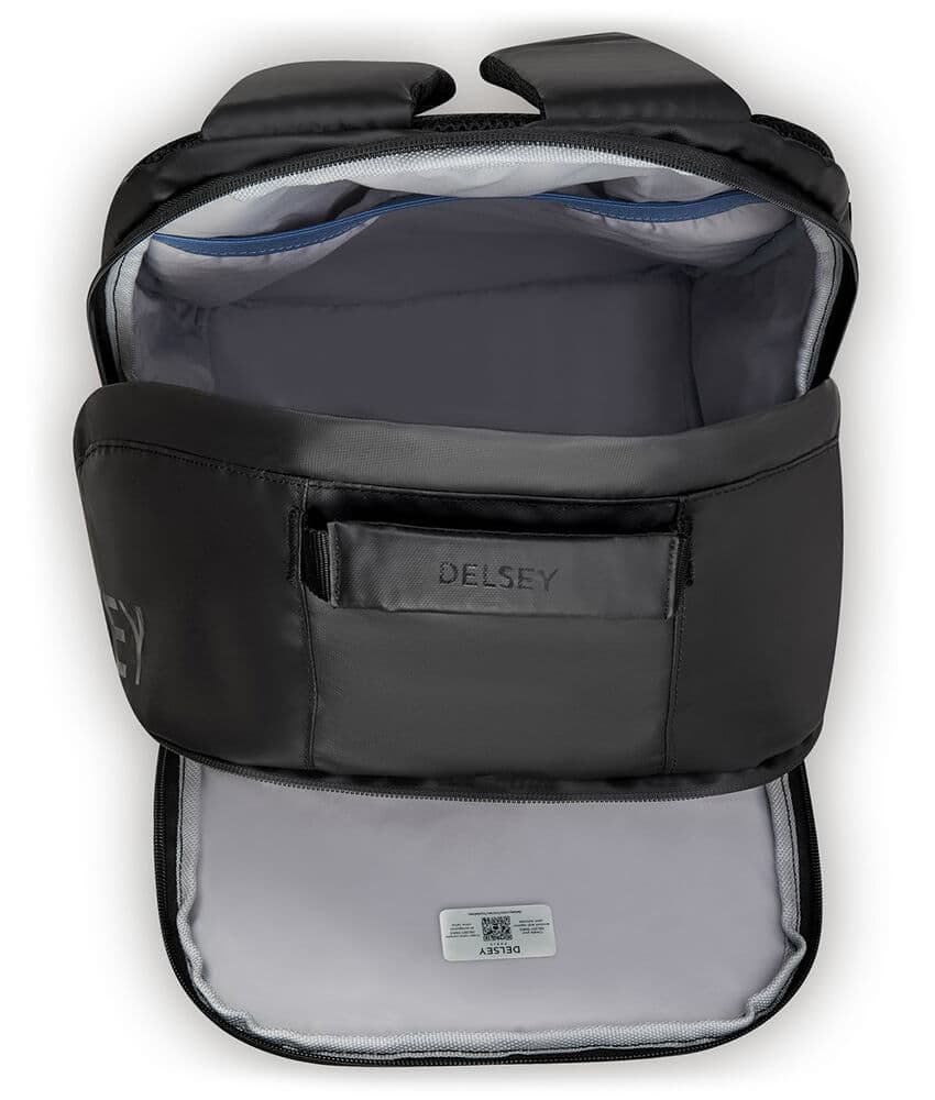 Рюкзак для ноутбука Delsey 003223601 Egoa Backpack 15.6″