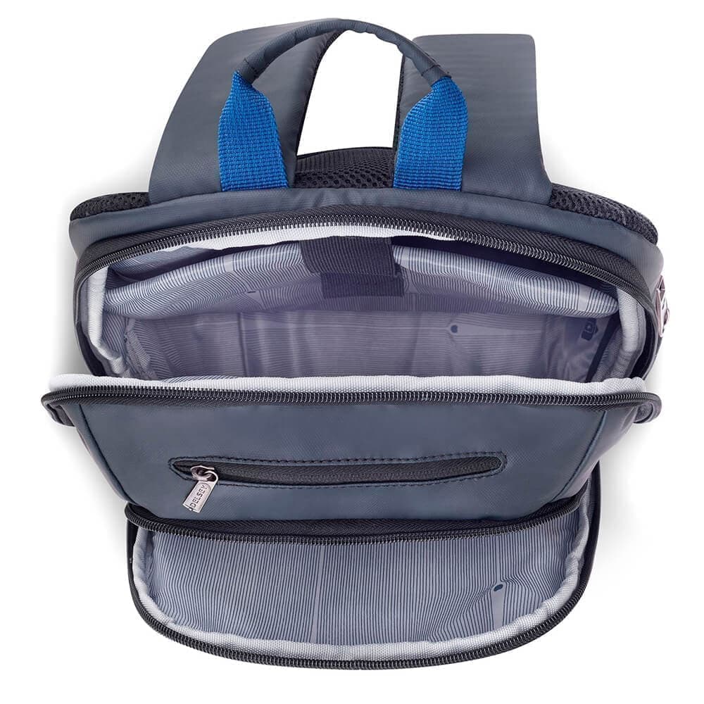 Рюкзак для ноутбука Delsey 003944608 Parvis+ Laptop Backpack 13.3″