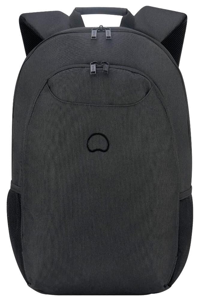 Рюкзак для ноутбука Delsey 003942603 Esplanade Backpack 15.6″