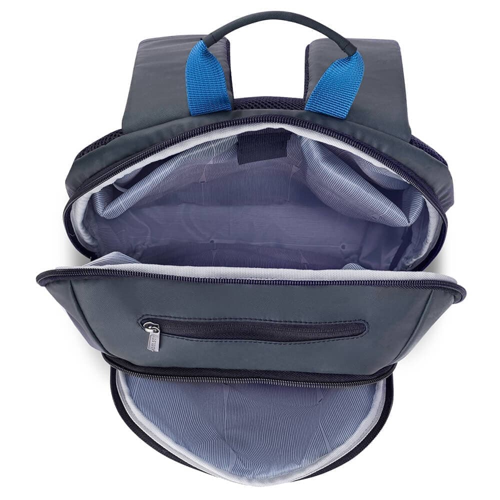 Рюкзак для ноутбука Delsey 003944609 Parvis+ 2CPT Laptop Backpack 15.6″