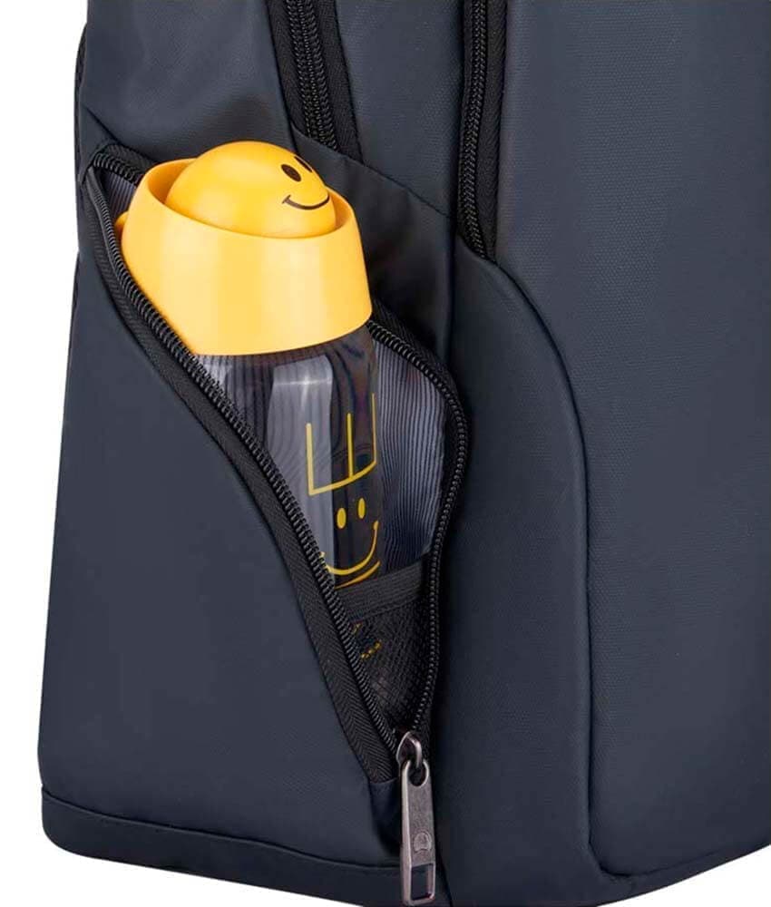 Рюкзак для ноутбука Delsey 003944608 Parvis+ Laptop Backpack 13.3″