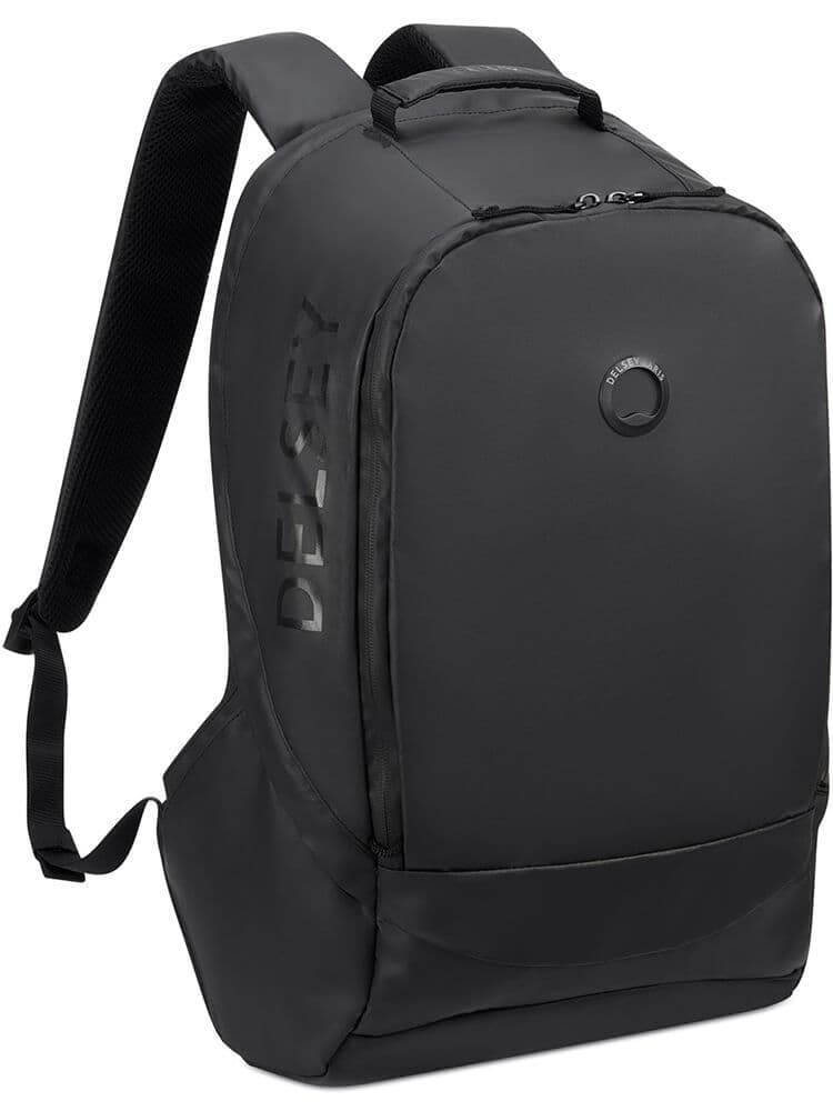Рюкзак для ноутбука Delsey 003223601 Egoa Backpack 15.6″