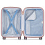 Чемодан Delsey 003859801 Freestyle 4DW Cabin Trolley S 55 см 00385980109 09 Peony - фото №2