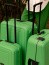 Чемодан на защелках Samsonite 10U*003 S'Cure Spinner 55 см 10U-54003            54 Cactus Green - фото №4