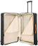 Чемодан Bric's с колесами Hinomoto BRK28032 Capri 30″ Trolley L 78 см Exp BRK28032.101 101 Black - фото №3