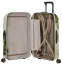 Чемодан Samsonite CS2*010 C-Lite Limited Edition Spinner 69 см CS2-24010 24 Climbing Ivy - фото №2