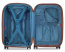 Чемодан Delsey 002087801 Carroussel 4DW Cabin Trolley Case 55 см Expandable 00208780111 11 Platinum - фото №2