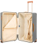 Чемодан Bric's с колесами Hinomoto BRK28039 Capri 30″ Trunk XL 81 см BRK28039.021 021 Silver - фото №3