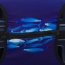 Чехол на средний чемодан Eberhart EBHP17-M Fish Suitcase Cover M EBHP17-M Fish Fish - фото №4