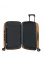 Чемодан на колёсах Samsonite CW6*001 Proxis Spinner 55 см USB Expandable CW6-06001 06 Honey Gold - фото №2