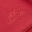 Сумка для ноутбука Rivacase 8630 Tiergarten Laptop Bag 15.6″ 8630 Red - фото №16