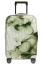 Чемодан Samsonite CS2*009 C-Lite Limited Edition Spinner 55 см USB CS2-24009 24 Climbing Ivy - фото №4