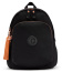 Женский рюкзак для ноутбука Kipling KI355853H Delia M Large Backpack 15″ Rose Black 