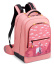 Школьный рюкзак для девочек Delsey Academie 003389621 2-compartment Backpack 15.6″ 00338962119 19 Pink - фото №1