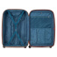 Чемодан Delsey 002087830 Carroussel 4DW Trolley Case 76 см Expandable 00208783011 11 Platinum - фото №2