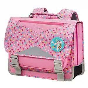 Школьный ранец Samsonite CH1*004 Sam Ergofit Ergonomic Schoolbag L