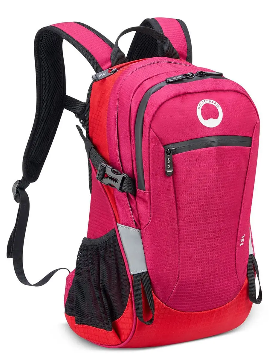 Маленький рюкзак Delsey 003335610 Nomade Backpack S 13″