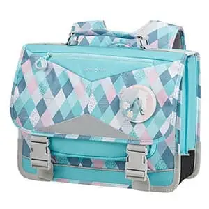 Школьный ранец Samsonite CH1*003 Sam Ergofit Ergonomic Schoolbag M