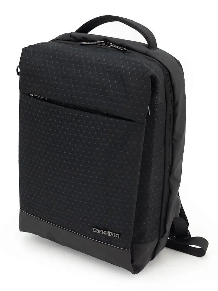 Рюкзак для ноутбука Eberhart E11-009-014 Legasy Backpack 15″ USB черный принт