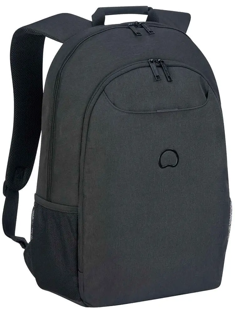 Рюкзак для ноутбука Delsey 003942622 Esplanade Backpack 17.3″